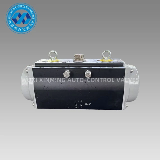 info-1-1 Oxidation Rack and Pinion Pneumatic Actuator