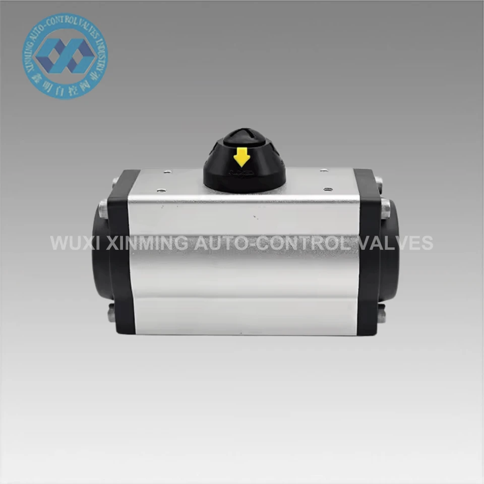 Black Silver Pneumatic Atuator