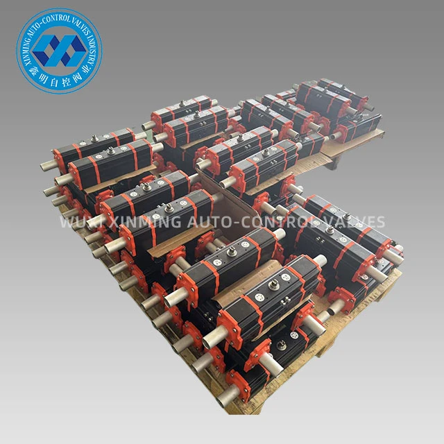 Actuator Pneumatic Pentru Tratarea Apei