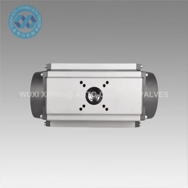 Pneumatic Valve Actuators For Water Treatment Plants