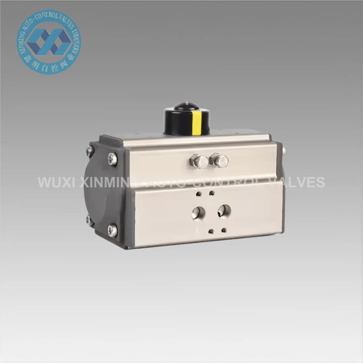 Actuator pneumatic cu acțiune dublă/cu acțiune dublă