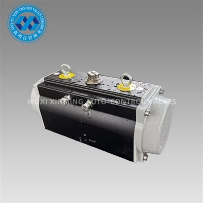 Actuator pneumatic anodizat
