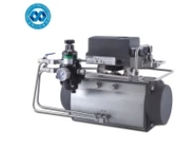 Performanță înaltă la seria Pneumatic Actuator