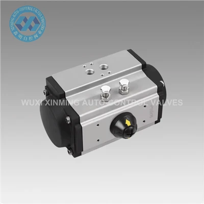 Cost redus de întreținere actuator pneumatic