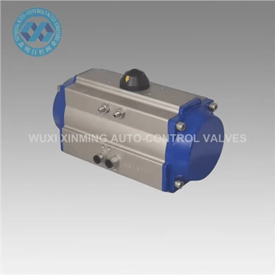 De vânzare servomotor pneumatic personalizat cu cremalieră și pinion