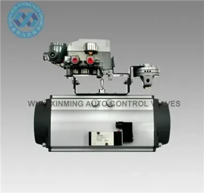 Sr Pneumatic Actuator rotativ