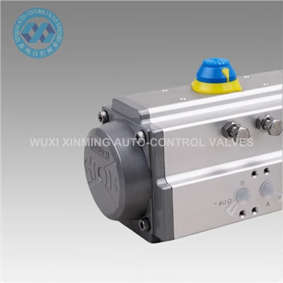 Valvă Actuator pneumatic RT/AT/DA52 VALVE VALVE VALVE VALVE PNEUMATIC CILINDER CILINDER