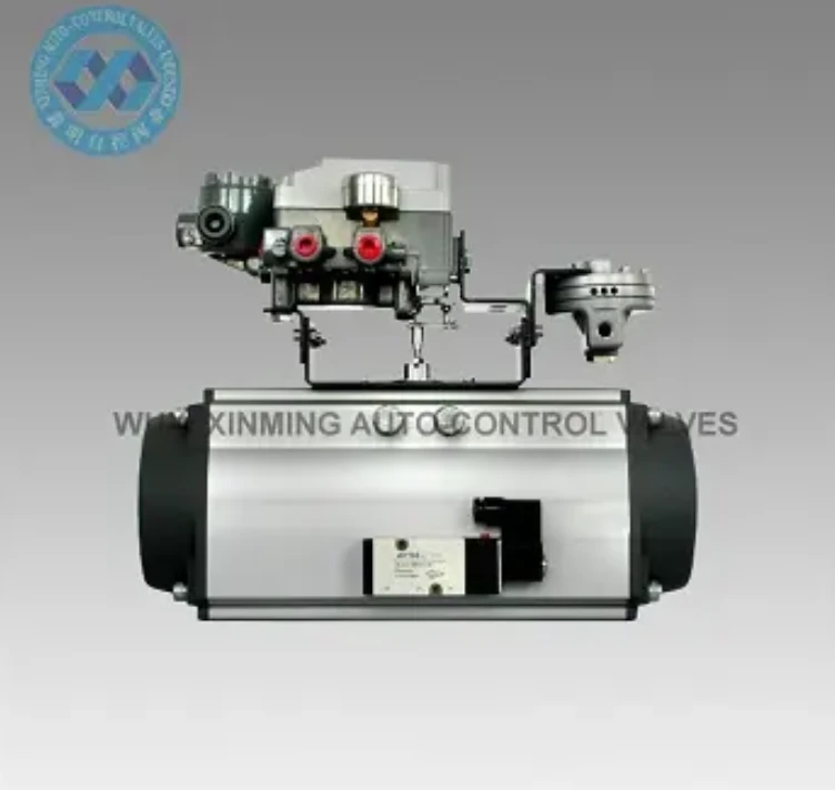 Sr Pneumatic Actuator rotativ